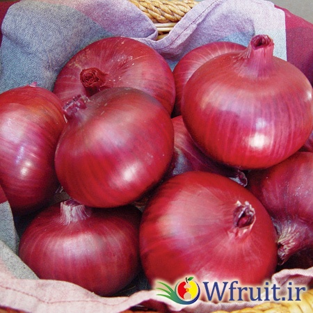 export iran Onion