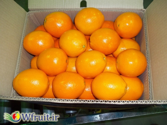Iran Orange