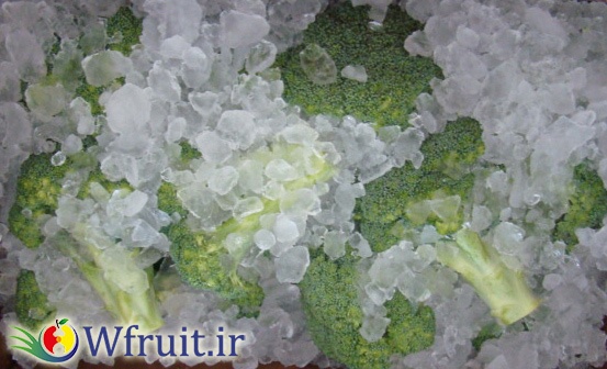 export broccoli
