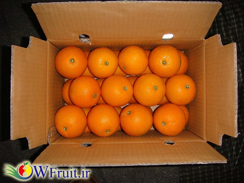 export orange