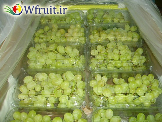 iran Grapes