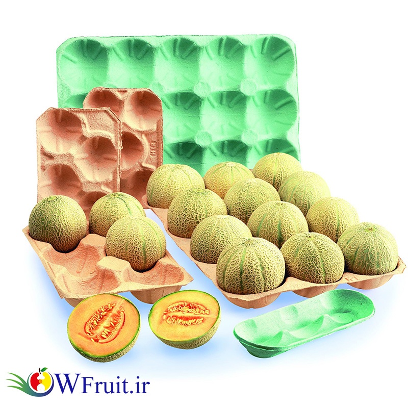 Iran Melon