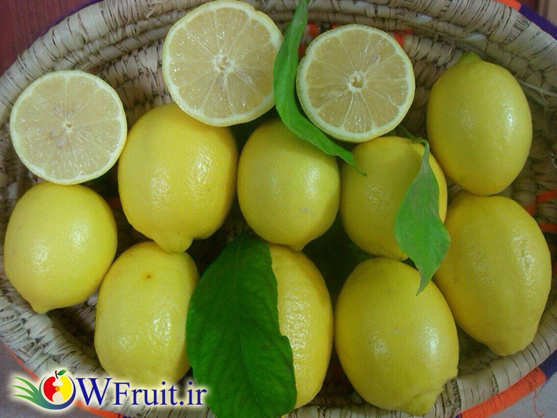 Iran Lemon