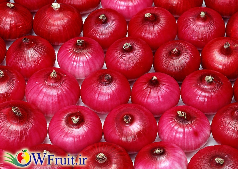 iran Onion